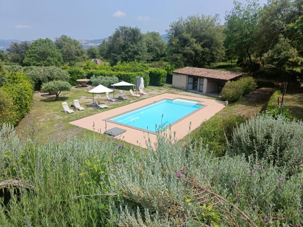 Il Tanaceto Pensión *
